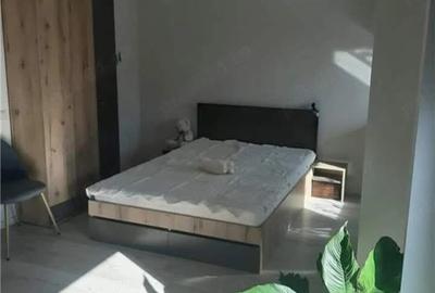 Garsonieră semidecomandată în Ultracentral - 4