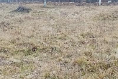 Teren de 10000 mp, în Lepșa - 4