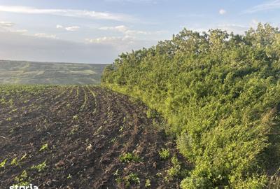 Teren de 990 mp, în Iris