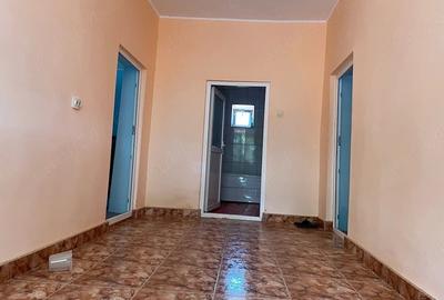 Casă cu 4 camere cu Teren 4614 Mp în Lăstuni