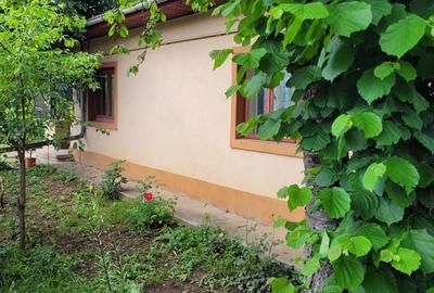 Casă cu 4 camere în Central - 6
