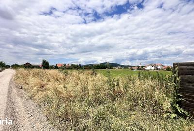 Teren de 475 mp, în Hărman