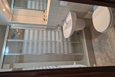 Apartament cu 4 camere decomandat în Decebal - 8
