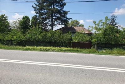 Teren de 2700 mp, în Dobrești - 6