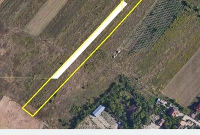 Teren de 10590 mp, în Viforâta