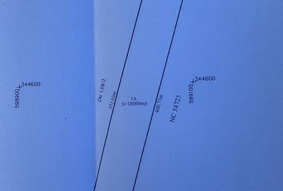 Teren de 18000 mp, în Dascălu - 2