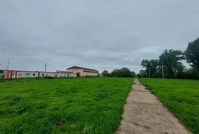 Teren agricol intravilan de 80000 mp, în Grădiște - 4