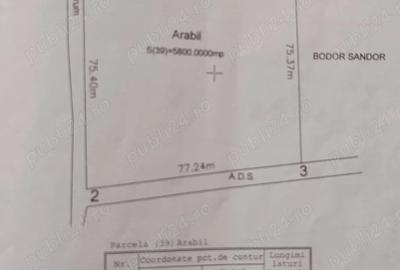 Teren în Pădureni (Chinteni) - 5