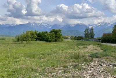 Teren de 3500 mp, în Central - 2