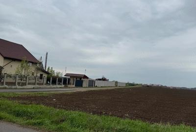 Teren de 4350 mp, în Vernești - 5