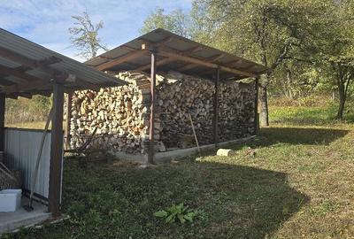 Casă cu 2 camere cu Teren 5000 Mp în Drăgășani