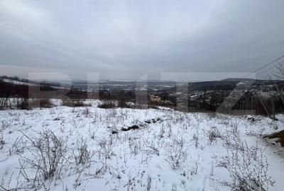 Teren de 1240 mp, în Vlădiceni - 3