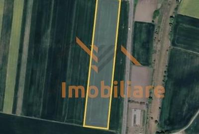 Teren de 28700 mp, în Tămășeu