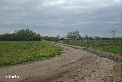 Teren de 10000 mp, în Valea Râmnicului - 3