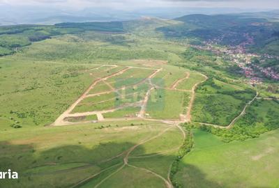 Teren de 1000 mp, în Baciu