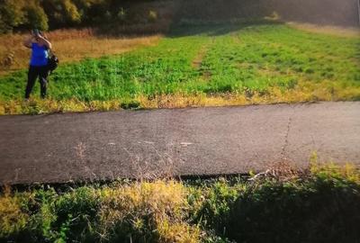 Teren de 7500 mp, în Ciucurova