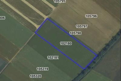 Teren de 25000 mp, în Hălchiu - 5