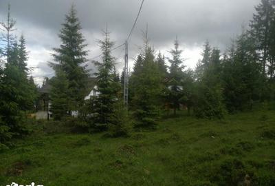 Teren de 1300 mp, în Beliș - 2