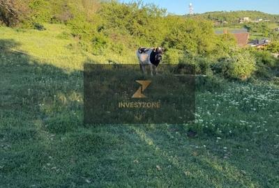 Spațiu comercial, în Oncea - 2
