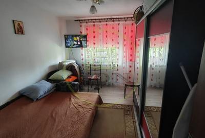 Apartament cu 2 camere semidecomandat, mobilat în Brazda lui Novac - 3