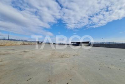 Spațiu industrial, de 250 mp, în Sebeș - 6