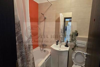 Apartament cu 2 camere, mobilat în Frumoasa - 10