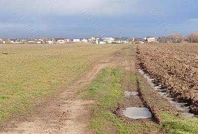 Teren de 300 mp, în Berceni - 9