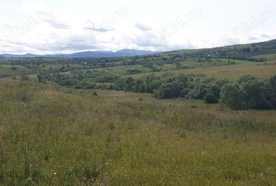 Teren de 500 mp, în Sălicea