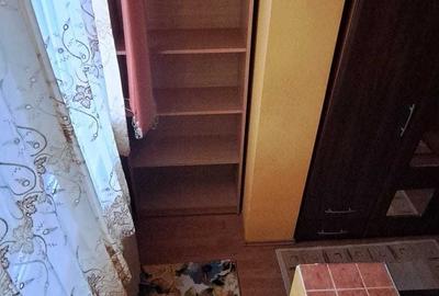 Apartament cu 2 camere semidecomandat în Nufărul