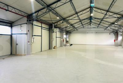 Spațiu industrial, de 590 mp, în Someșeni