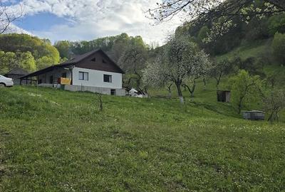 Teren de 30000 mp, în Leordina