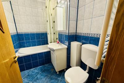 Apartament cu 3 camere decomandat, mobilat în Lujerului - 12