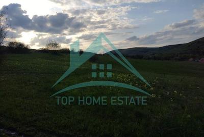 Teren Construcții intravilan de 4200 mp, în Gârbău - 6