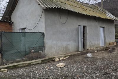 Casă cu 4 camere în Central - 2
