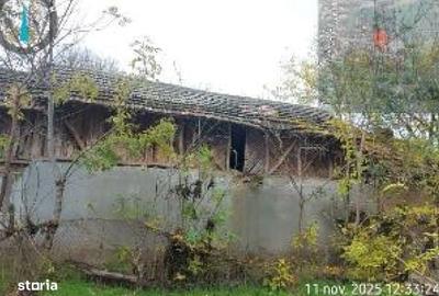 Casă cu 4 camere în Murta