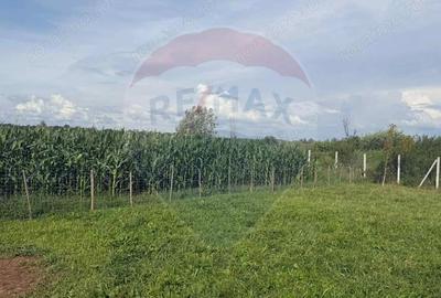 Teren de 4135 mp, în Sarasău - 9