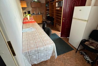 Proprietate specială, de 224 mp, în Big-Bascov - 8