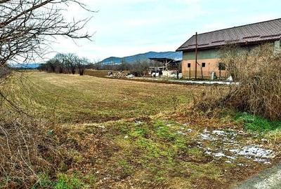 Teren de 10000 mp, în Unguriu - 8