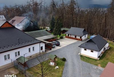 Casă cu 9 camere cu Teren 3500 Mp în Ocna Șugatag