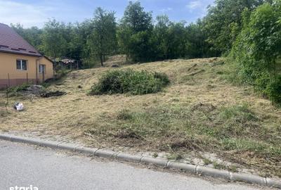 Teren de 3900 mp, în Central