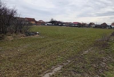 Teren de 5900 mp, în Mihai Viteazu - 3