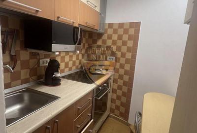 Apartament cu 3 camere, mobilat în Brotăcei - 8