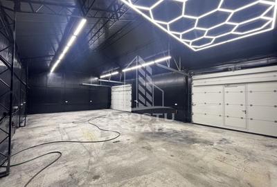 Spațiu industrial, de 185 mp, în Parța - 2