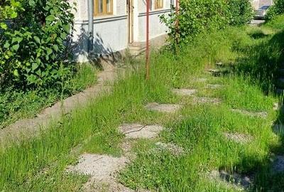 Casă cu 7 camere cu Teren 5000 Mp în Cernătești - 4