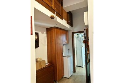 Apartament cu 3 camere decomandat, mobilat în Grădina Icoanei - 8
