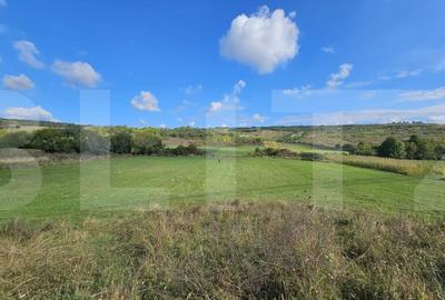Teren agricol extravilan de 4200 mp, în Agafton