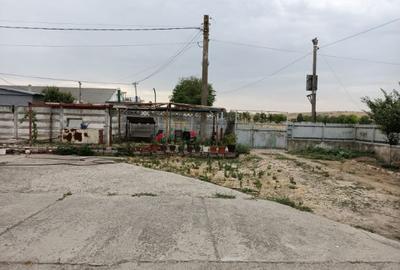 Teren intravilan de 2000 mp, în Tortoman - 3