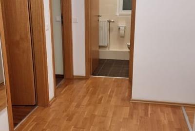 Apartament cu 3 camere semidecomandat, mobilat în Chitila - 7