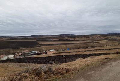 Teren de 61000 mp, în Daia Română