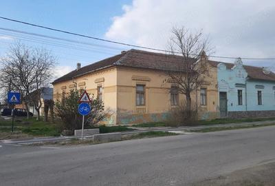 Casă cu Teren 800 Mp în Cenei - 2